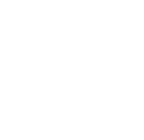 MINKOV BROTHERS