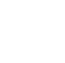 SAVOY GIN