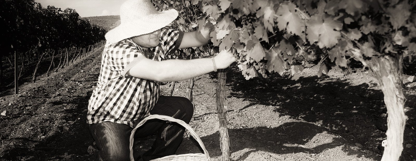 Passionate winemakers